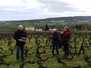 Adopt-a-vine experience in Burgundy, France