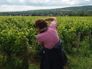 Adopt-a-vine experience in Burgundy at Domaine Chapelle