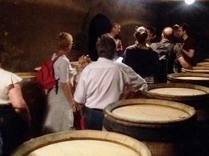 Cellar tour and wine tasting at the winery