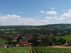 Vineyard tours with the winemaker in Santenay, Burgundy, France