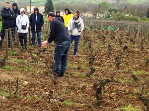 Oenology course at an organic winery in France