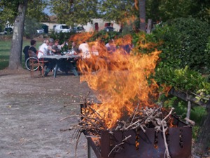 Barbecue over dried vines