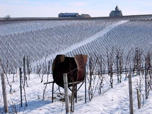 Domaine Jean-Marc Brocard Vineyard Chablis under the snow