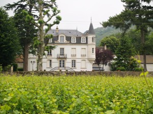 Wine Experience Day at Domaine Chapelle, Burgundy