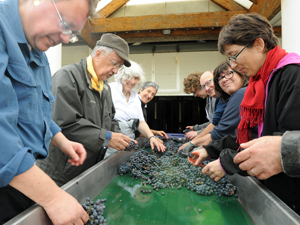 Wine making gift in France. Renat-a-vine and get involved in making your own wine