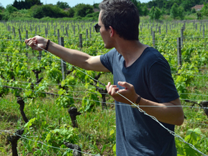 Meet your own wine and the winemaker and learn how to make wine