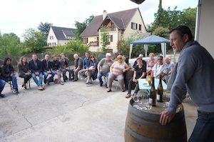 Wine making experience in Alsace