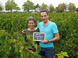 Rent a vine in Bordeaux