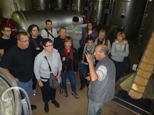 Wine course gift at the winery in Burgundy. Learn about the fermentation process
