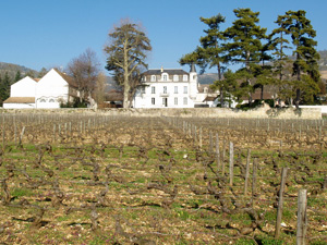 The Domaine and vineyard at winter