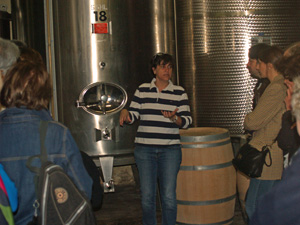 Wine making : alcoholic and malo-lactic fermentation