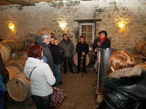 Visit the wine barrels in the cellar. Behind the scenes winery tour in Bordeaux
