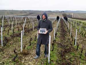 Adopt-a-vine wine gift experience Chablis, France. Adopt a row of vines.