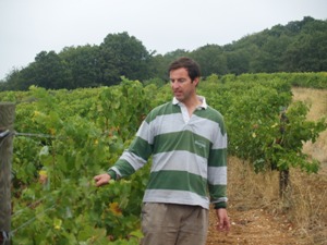 In the vineyard at domaine Allegria
