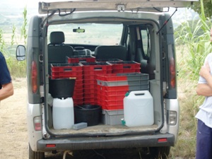 Van filled with crates