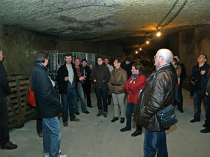 Visit of the cellar