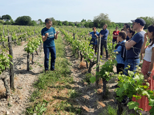 The wine-maker explains the work to be done in the vineyard 