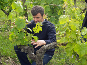 Marc the winemaker of the Chteau de la Bonnelire in Chinon