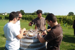 Wine tasting session of the estate's Chinon and Touraine red, whit and ros wines