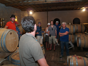 Visit of the fermentation hall and the barrel room