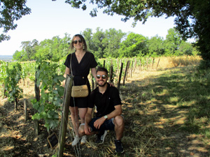 Adopt organic vines in Saint-Emilion