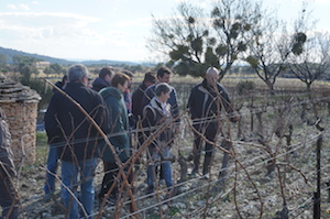 Vineyard tour at Domaine la Cabotte France
