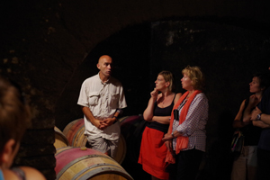 Tour of the cellar