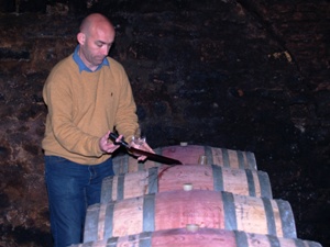 Wine tasting direct from the barrels