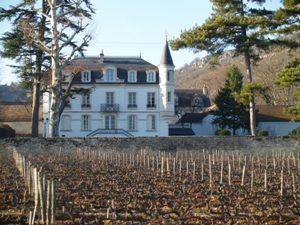 Oenology course in Burgundy at Domaine Chapelle