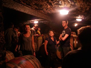 Visit of the wine cellar