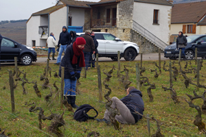 Adopt-a-vine gift in France. Organic vineyard visit in Burgundy.