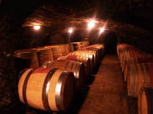 Visit of the cellars