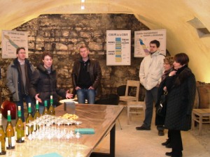 Wine tasting session in the celllar