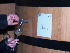 Wine tasting direct from the oak casks