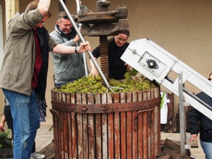 Traditional wooden wine press in action