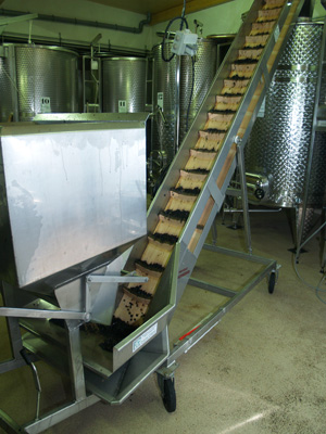 Putting the grapes into the fermentation tanks