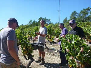 How to be a winemaker hands on gift in the Rhone valley