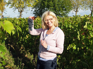 Get involved in making your own organic wine in France