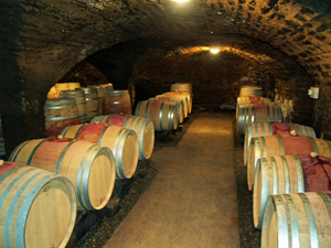 Cellar tour at Domaine Chapelle, France