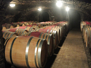 Wine taqsting gift in Burgundy