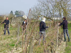 Adopt a vine in Loire Valley