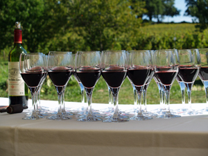 Organic wine tasting gift experience at the winery in Saint Emilion