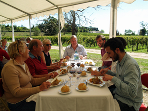 Lunch with the winemaker in the vineyard, Saint-Emilion