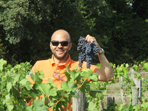 Harvest experience gift for wine lovers in Saint-Emilion