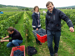 Unique wine gifts in France, Burgundy