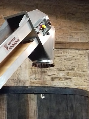 Winery tour and wine tasting in Burgundy
