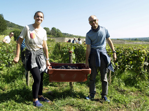 A great gift idea for two.  Harvest graes from your own vines in Burgundy