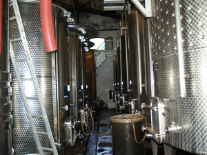 Wine cellar visit in the Cotes du Rhone 