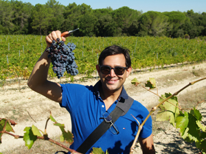 Grape harvest gift in the Rhone Valley