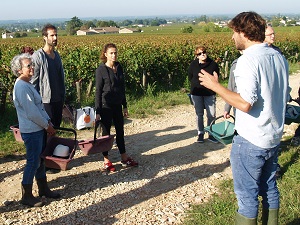 Wine course in a French vineyard for wine lovers